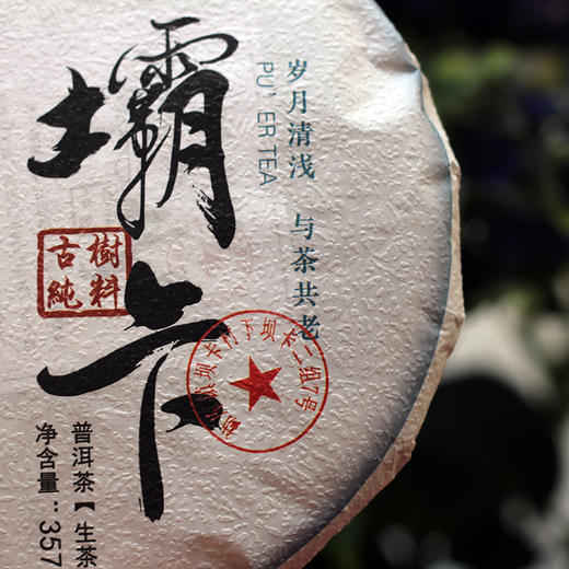 生普丨叶舞地 2022年 坝卡 357克 商品图1