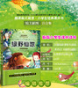 学海轩绿野仙踪大阅读彩色插图注音版小学生课外阅读图书儿童读物少儿文学教辅书籍童话故事阅读心得 商品缩略图4