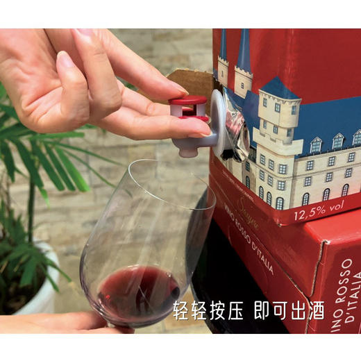 意大利原盒进口萨科森城堡红葡萄酒 2.25L家庭聚餐大盒 商品图3