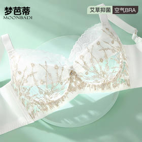 梦芭蒂艾草抑菌内衣女夏季超薄款文胸大胸显小无钢圈胸罩追光精灵