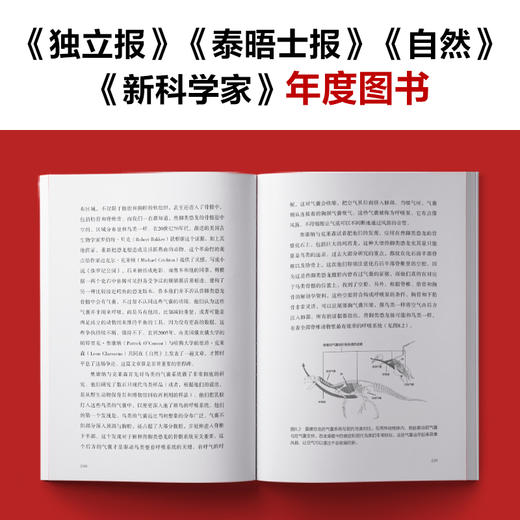 40亿年地球生命简史 商品图4