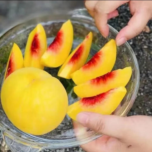 江陵三湖农场桃皇礼盒精品装350g-400g*8个 商品图5