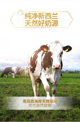  让你挑选奶粉不纠结-揭秘A2酪蛋白是什么 