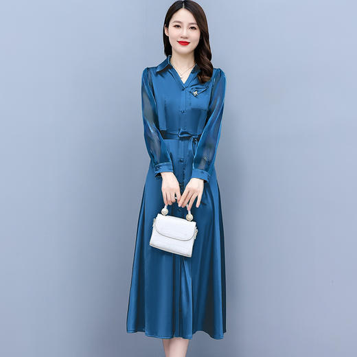 2022秋季新款醋酸缎面长袖连衣裙气质显瘦遮肚纯色女装   XYX3653 商品图0