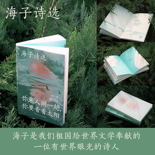 【博集】海子诗选：你来人间一趟，你要看看太阳 商品图2
