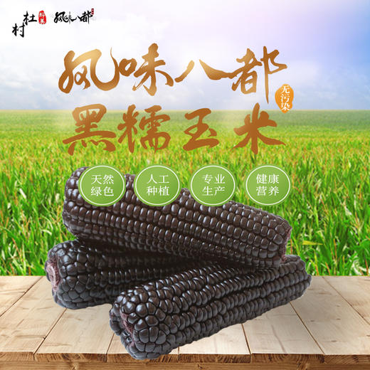 【青阳县杜村乡】风味八都黑糯玉米【预售8月23日发货】 商品图0