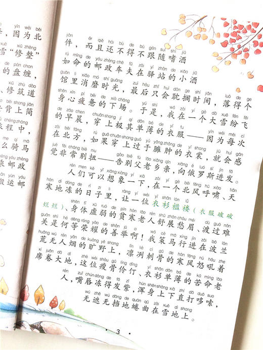 太阳岛新课标打阅读 第五辑 吹牛大王历险记 精美插图 注音版 海豚出版社 商品图3