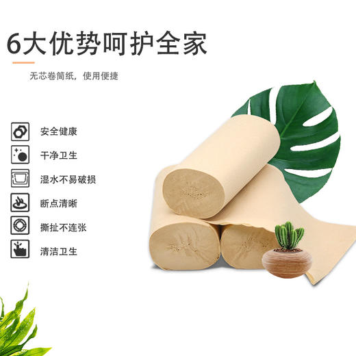 「9.9元包邮！一提6卷」6卷家用卫生纸卷纸实惠装整提居家日用清洁工具无芯卷筒纸巾便携小卷厕用纸手纸  商品图3