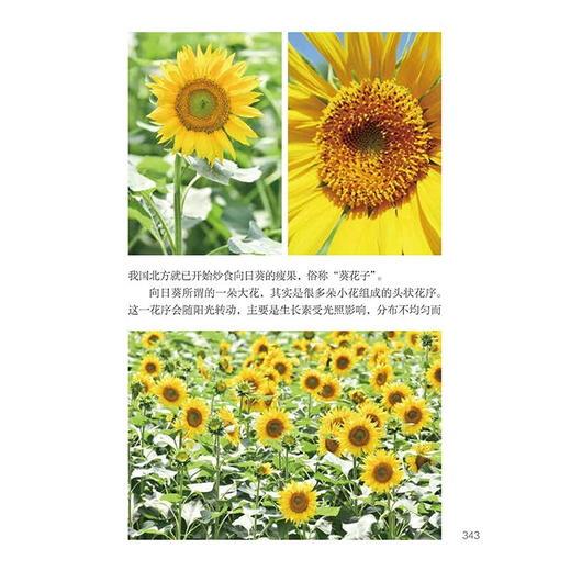 园林花卉 吴昌宇等 著科普读物 商品图1