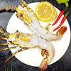 【东南亚原产-小青龙 250-350g/只】【Southeast Asia-Lobster 250-350g/per one】 商品缩略图4