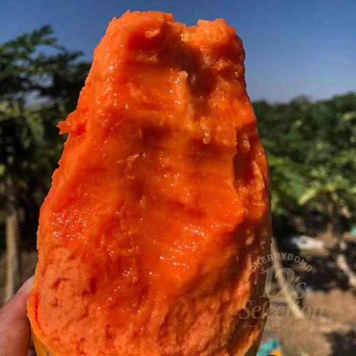 雷州产树上熟冰糖木瓜 老树果 顺丰快递 商品图13