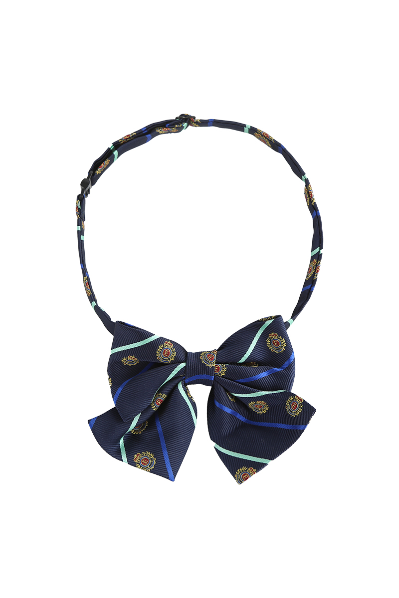 深圳纯水岸幼儿园领花