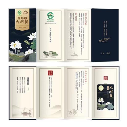 醉卧蟹庐596型10只大闸蟹礼盒 商品图4