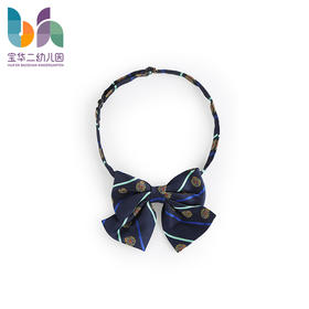 上海宝华二幼儿园领花