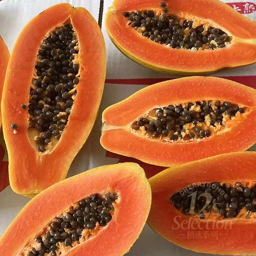 雷州产树上熟冰糖木瓜 老树果 顺丰快递