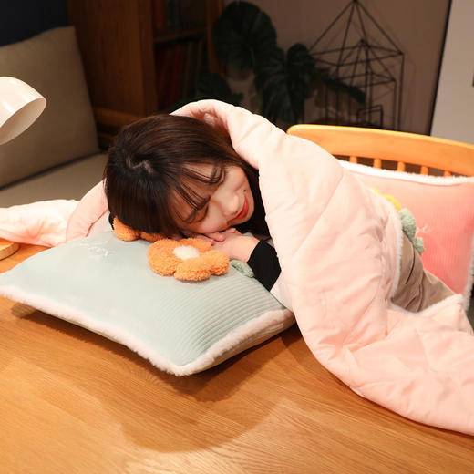 抱枕被子两用办公室午睡枕头折叠毯子二合一汽车毛毯靠枕夏凉被女 商品图6