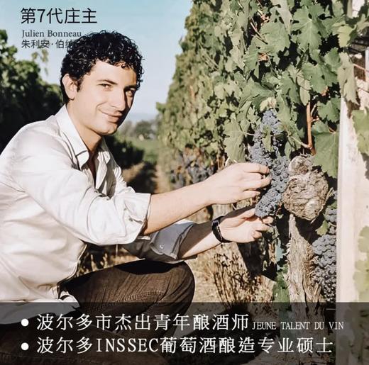 【欧盟有机认证酒款】菲特瓦诺兰庄园干红葡萄酒 波尔多产区 13.5%vol 商品图5