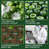 2021小青柑普（宫廷珍珠）玻璃瓶装250g 商品缩略图4