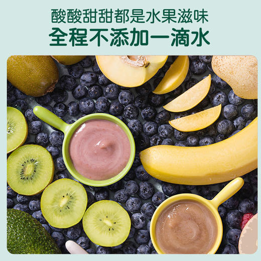 英氏有机婴幼儿果泥100g（多种口味可选） 商品图1