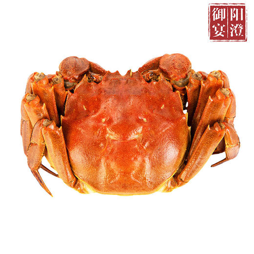 阳澄御宴1288型大闸蟹礼盒 商品图1