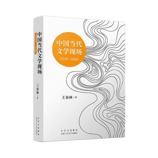 中国当代文学现场（2019-2020） 商品图1