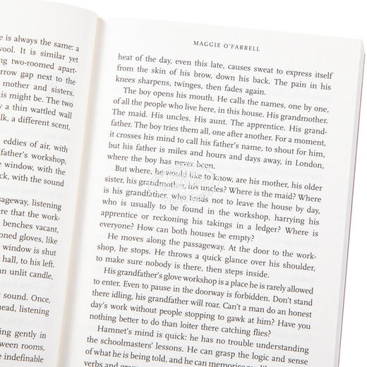 预售 【中商原版】哈姆奈特 英文原版 Hamnet 玛吉 奥法瑞尔 Maggie O Farrell 商品图3