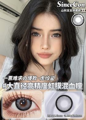 sincecon 半年抛 虎纹鲨 直径14.5mm着色13.9mm