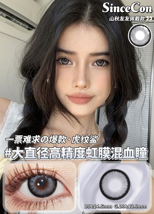 sincecon 日抛 虎纹鲨 直径14.5mm着色13.9mm 商品图0