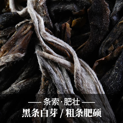 活动即将结束！【积分兑换】【冰岛甜小饼成提购】2023年头春云南临沧普洱茶生茶茶饼300年100g/饼五饼装 商品图1