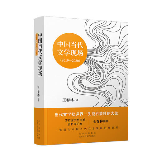 中国当代文学现场（2019-2020） 商品图0