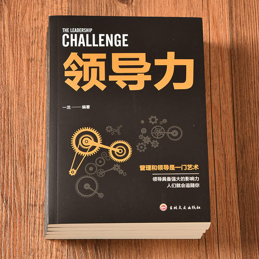 企业经营管理套装5册 领导力 识人用人管人 执行力 团队沟通艺术 中层管理者手册 团队领导法 市场营销企业管理学书籍畅销书 商品图3