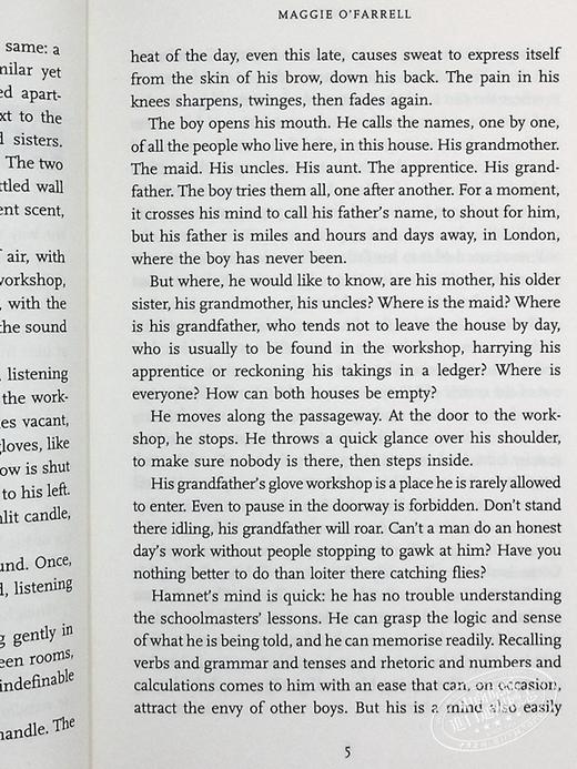 预售 【中商原版】哈姆奈特 英文原版 Hamnet 玛吉 奥法瑞尔 Maggie O Farrell 商品图6