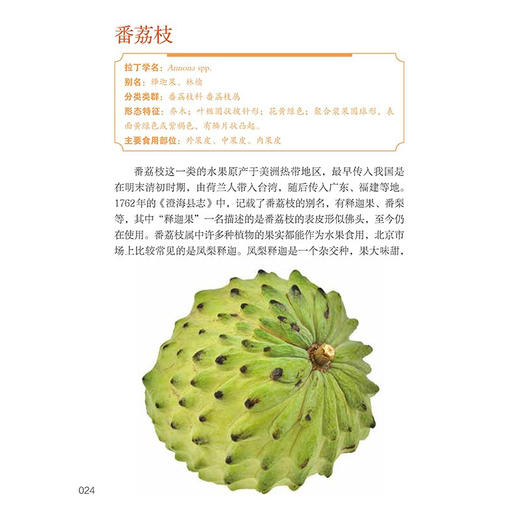 水果和干果 吴昌宇 王辰 著 科普读物 商品图2
