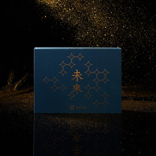 南周文创-“未来”礼盒（内含笔记本、签字笔、书页灯 书页灯充电器） 商品图4