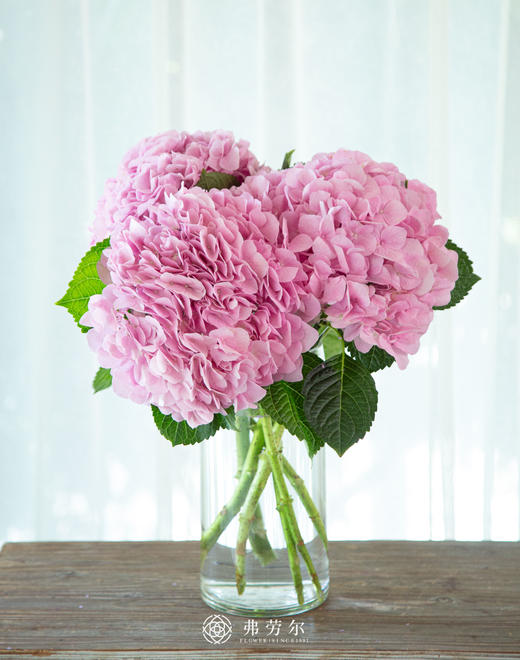 粉色绣球 商品图1