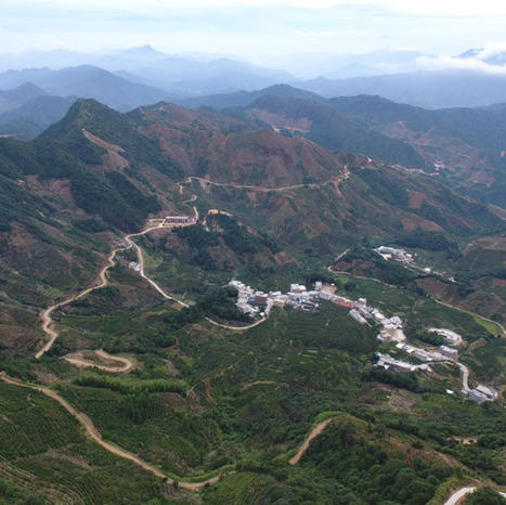 乌岽通天香 商品图3