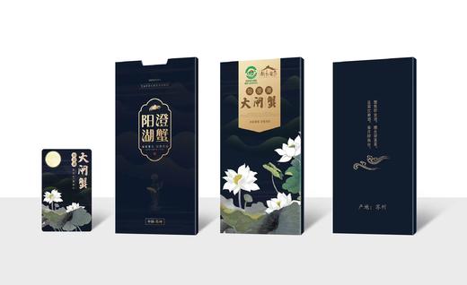 醉卧蟹庐596型10只大闸蟹礼盒 商品图5