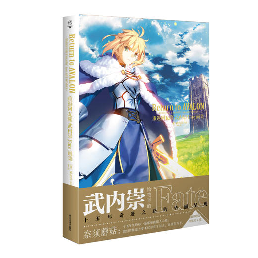 重返阿瓦隆 武内崇Fate画集 商品图0