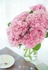 粉色绣球 商品缩略图3