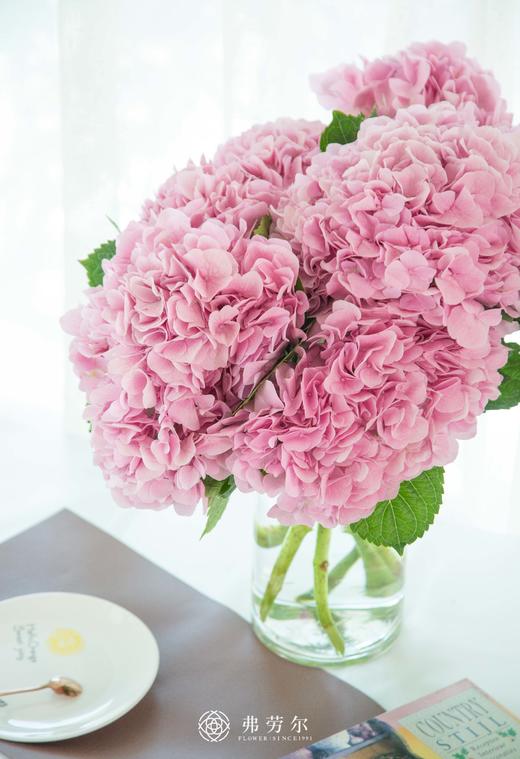 粉色绣球 商品图3