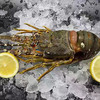 【东南亚原产-小青龙 250-350g/只】【Southeast Asia-Lobster 250-350g/per one】 商品缩略图3