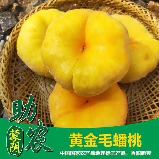 山东沂蒙山黄金毛蟠桃5斤 商品图0