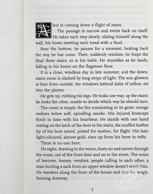 预售 【中商原版】哈姆奈特 英文原版 Hamnet 玛吉 奥法瑞尔 Maggie O Farrell 商品图5