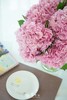 粉色绣球 商品缩略图2