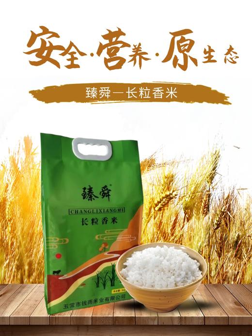 【优质大米】臻舜—长粒香米  5kg/包 商品图2