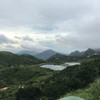 乌岽通天香 商品缩略图6