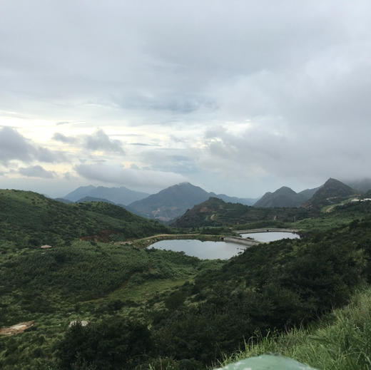 乌岽通天香 商品图6