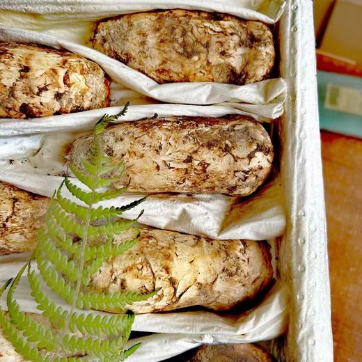 云南香格里拉·野生松茸 商品图3