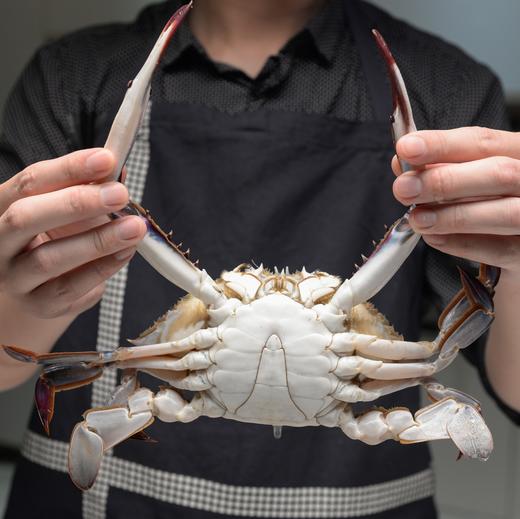 【有钳有钱】精选梭子蟹1.3kg5-6只 液氮锁鲜速冻 壮实饱满 商品图6