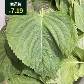 깻잎苏子叶 100g